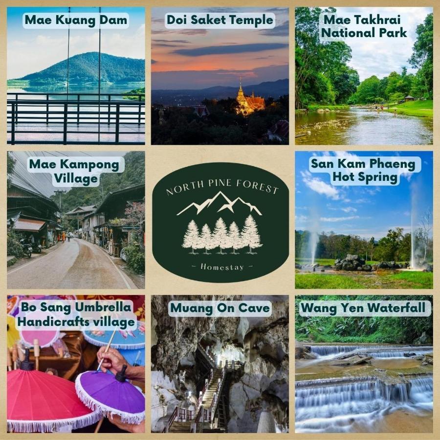 North Pine Forest Homestay บ้านไม้สนโฮมสเตย์ Ban Mae Pong Exterior foto