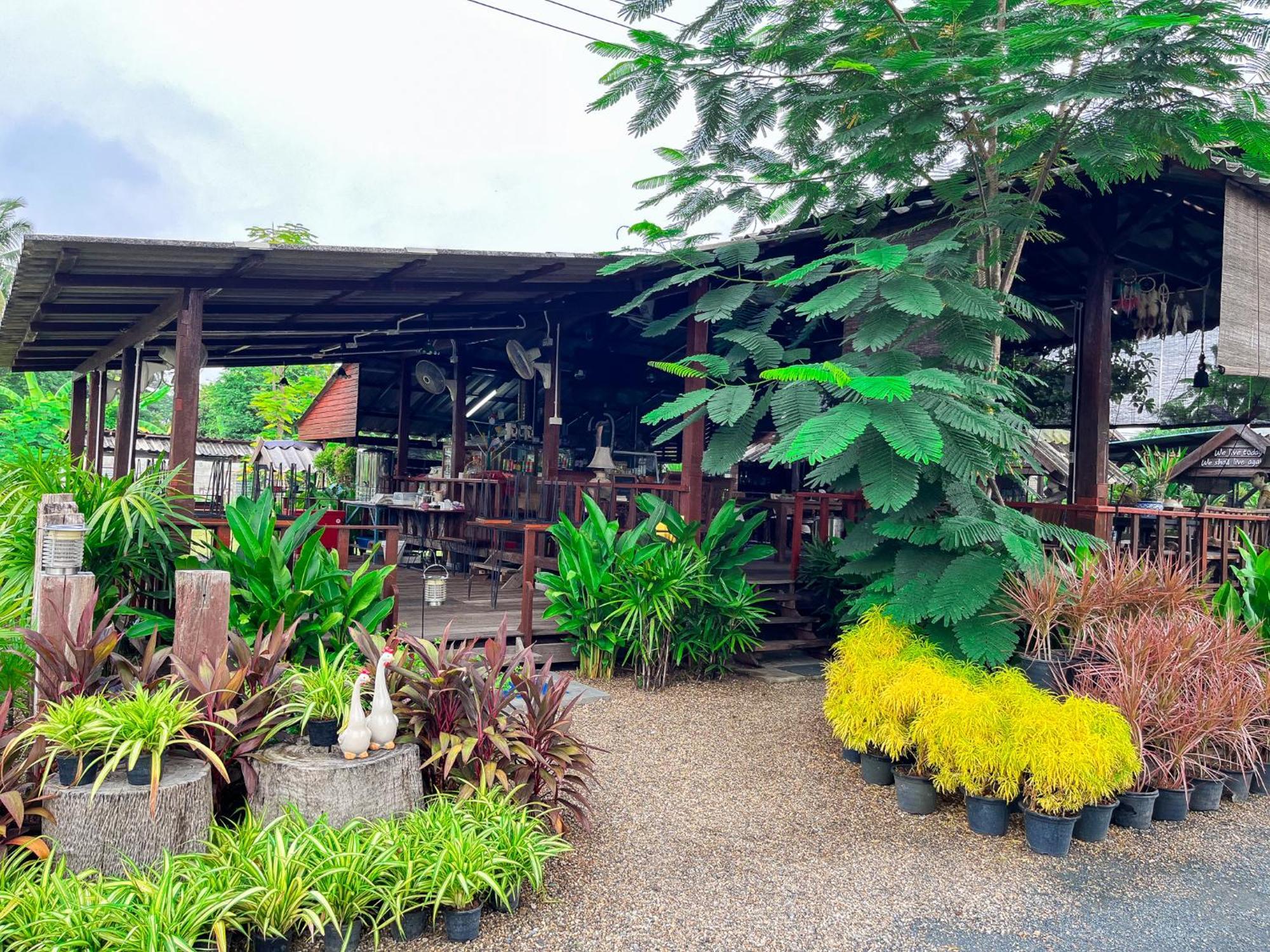 North Pine Forest Homestay บ้านไม้สนโฮมสเตย์ Ban Mae Pong Exterior foto